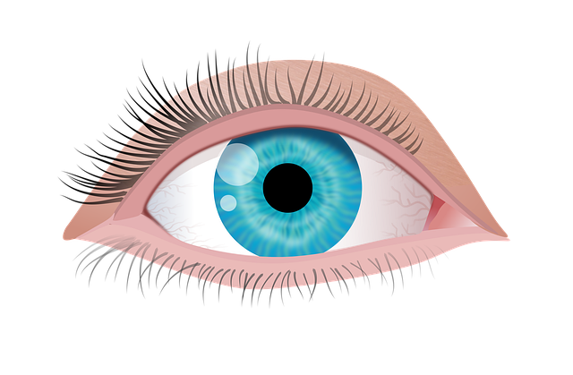 Les troubles de la vue chez les seniors : Le glaucome